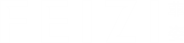 FEIZI Logo